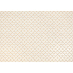 D.FANFAN-B (13016) 33X47  Керамическая плитка