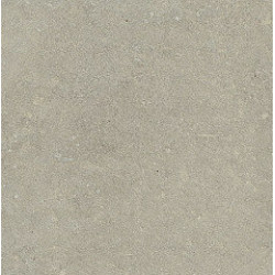 ESPRIT DE REX NEUTRAL GRIS 60X60 RET (762081) 60x60 Керамогранит