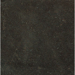 ESPRIT DE REX NEUTRAL BRUN 60X60 RET (762082) 60x60 Керамогранит