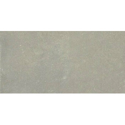 ESPRIT DE REX NEUTRAL GRIS 6MM 60X240 RT (762101) 60x240 Керамогранит