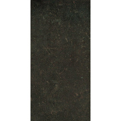 ESPRIT DE REX NEUTRAL BRUN 6MM 60X120 RT (762104) 60x120 Керамогранит