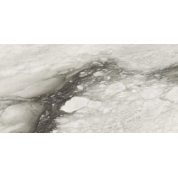 ETOILE RENOIR GLOSSY 60x120 RET (761679) 60x120 Керамогранит