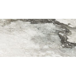 ETOILE RENOIR GLOSSY 40x80 RET (761687) 40x80 Керамогранит