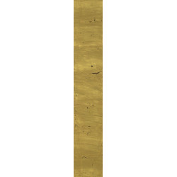 REX DECORO GOLD 10X60 (721745)