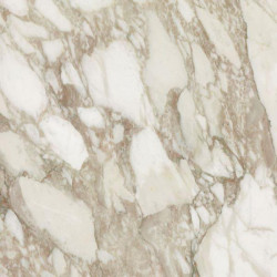 I bianchi di rex Calacatta nat.60x60 (726790)