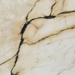 I BIANCHI REX PAONAZZETTO LUC.60X60 Снято с производства