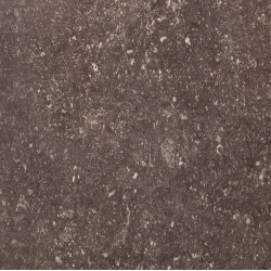 REX PIETRA DEL NORD FANGO ANT. NAT. 60X60 (735310) 60X60 Керамогранит