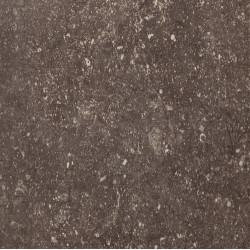 REX PIETRA DEL NORD FANGO ANT. NAT. 80X80 (735326) 80X80 Керамогранит