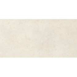 REX PIETRA DEL NORD BIANCO ANT. NAT. 40X80 (736084) 40X80 Керамогранит